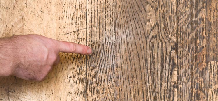 Wood Door Scratch Repair in Lake Butler